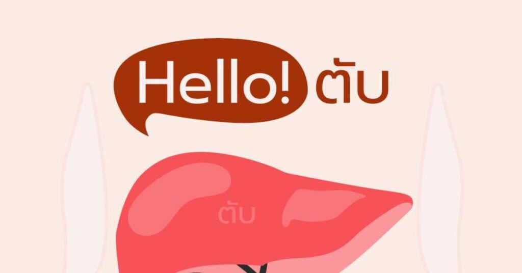 Hello! ตับ โดยทั่วไปตับจะมีน้ำหนัก 1 ใน 50