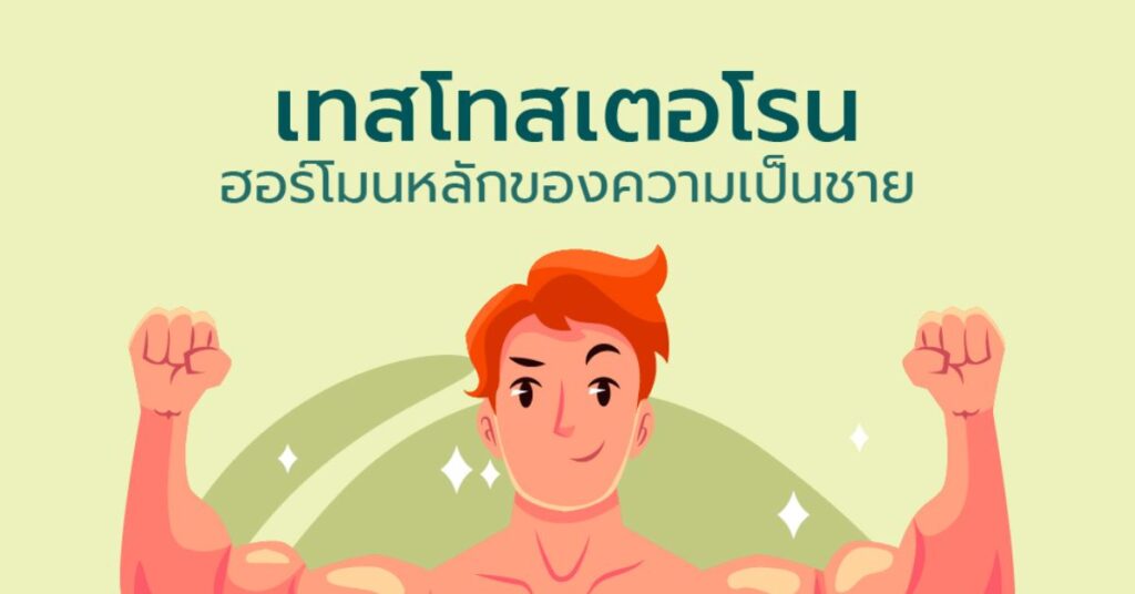 Testosterone ฮอร์โมนเทสโทสเตอโรน 2 ฮอร์โมนเทสโทสเตอโรน