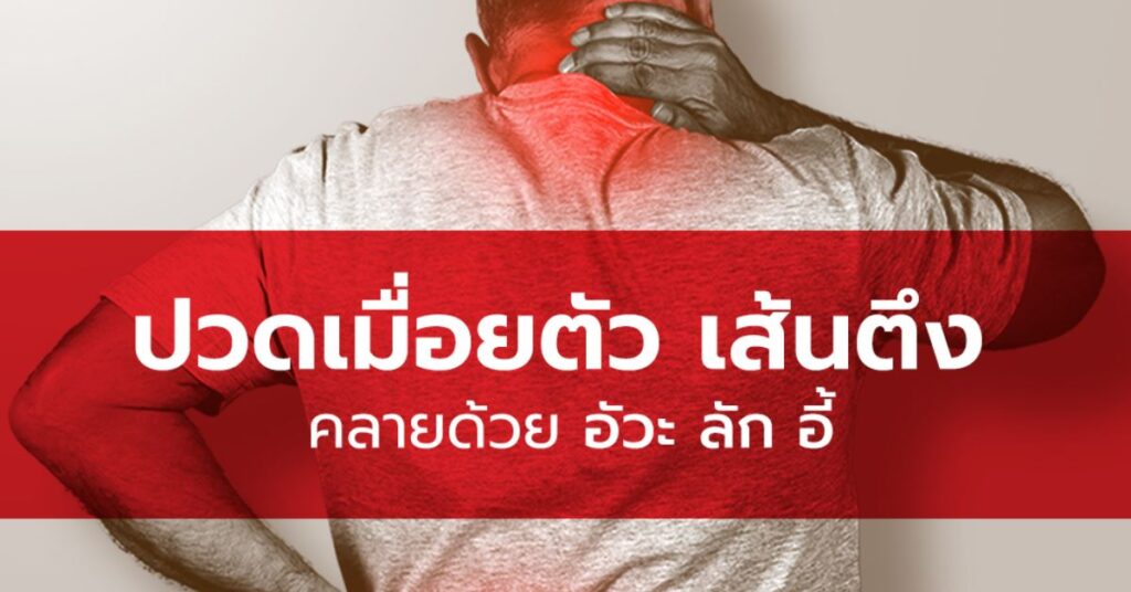 ปวดเมื่อยตัว เส้นตึง เมื่อเราต้องนั่งทำงานนานๆ