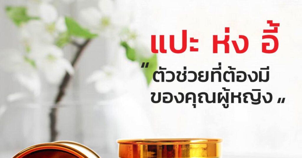 แปะ ห่ง อี้ ตัวช่วยที่ต้องมีของคุณผู้หญิง 9 แปะ ห่ง อี้ ตัวช่วยที่ต้องมีของคุณผู้หญิง