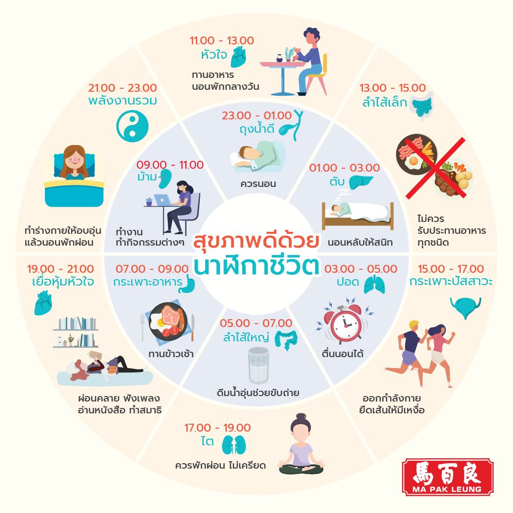 นาฬิกาชีวิต เป็นสิ่งที่เราทุกคนควรรู้ 3 นาฬิกาชีวิต เป็นสิ่งที่เราทุกคนควรรู้