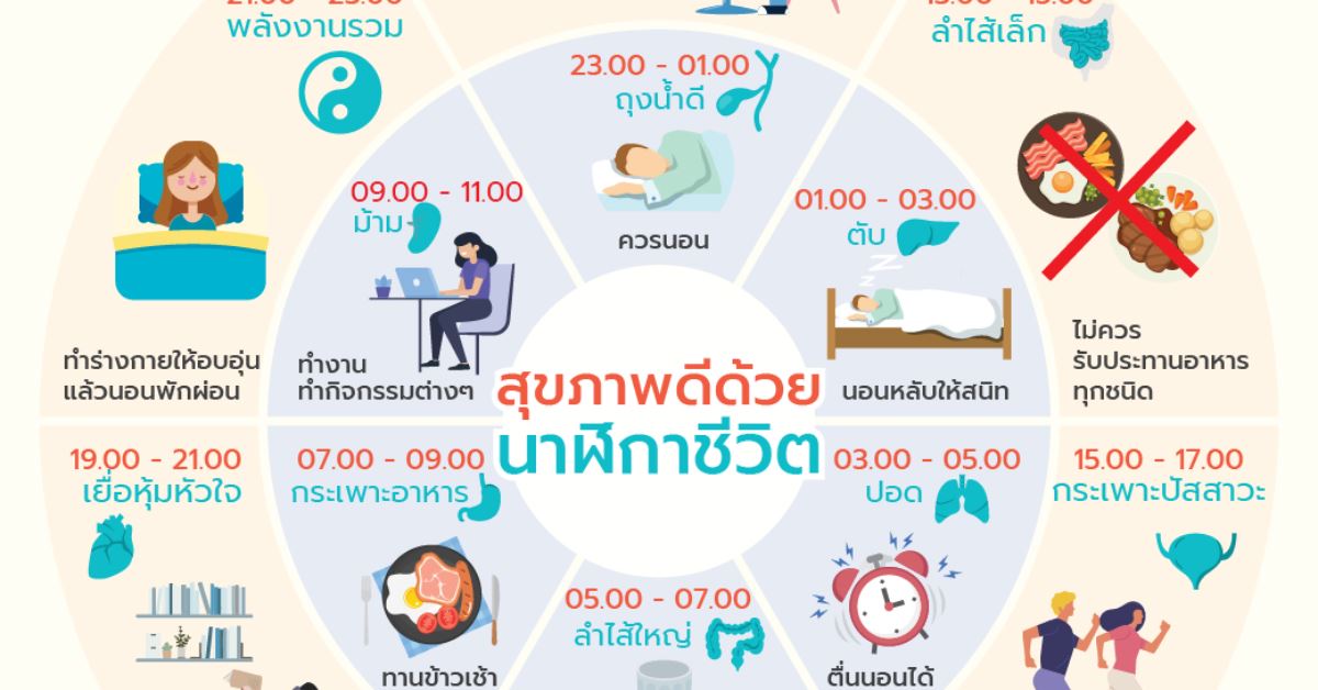 นาฬิกาชีวิต เป็นสิ่งที่เราทุกคนควรรู้