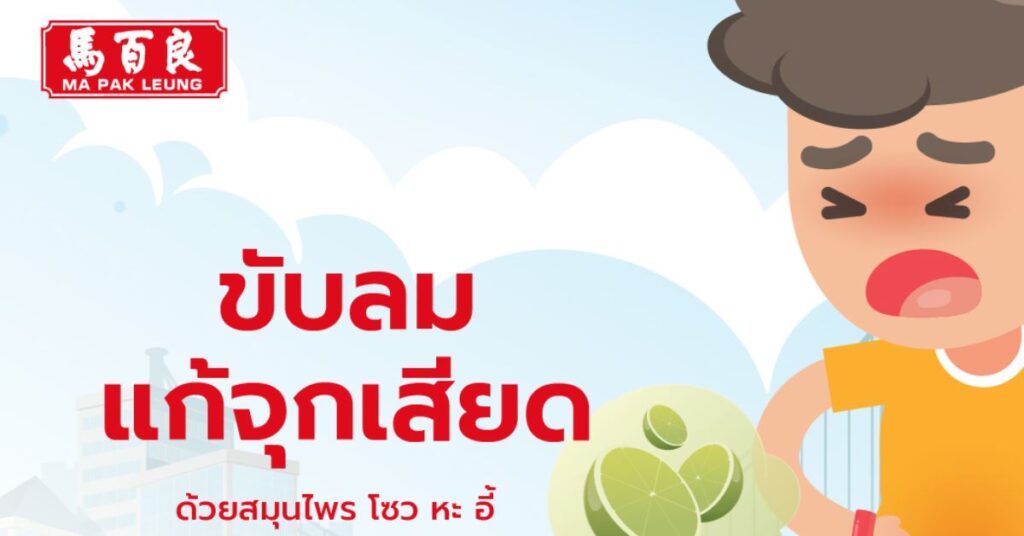 ขับลม แก้จุกเสียด ด้วยสมุนไพร โซว หะ อี้