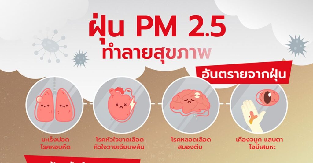 ฝุ่นพิษ PM 2.5 ทำลายสุขภาพ