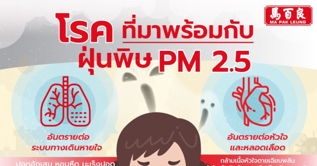 โรคที่มาพร้อมกับฝุ่นพิษ PM 2.5