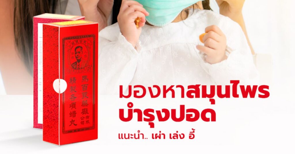 มองหาสมุนไพรบำรุงปอด แนะนำ เผ่า เล่ง อี้