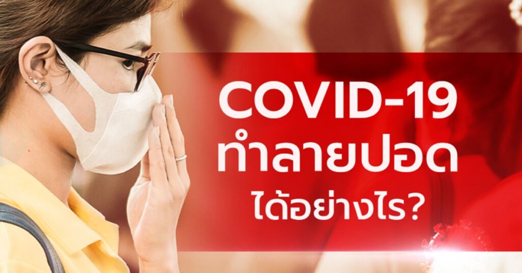 COVID-19 ทำลายปอดได้อย่างไร