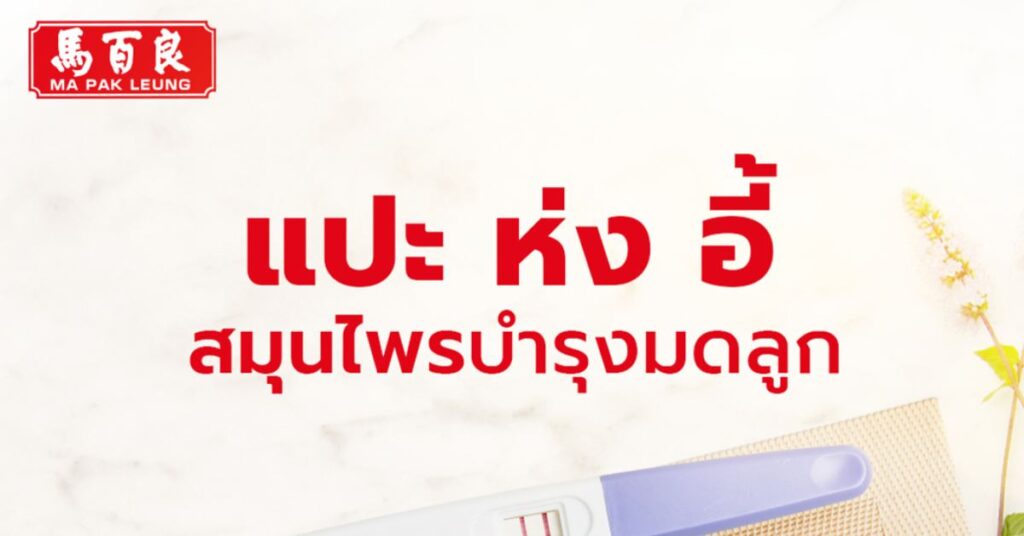 แปะ ห่ง อี้ สมุนไพรบำรุงมดลูก