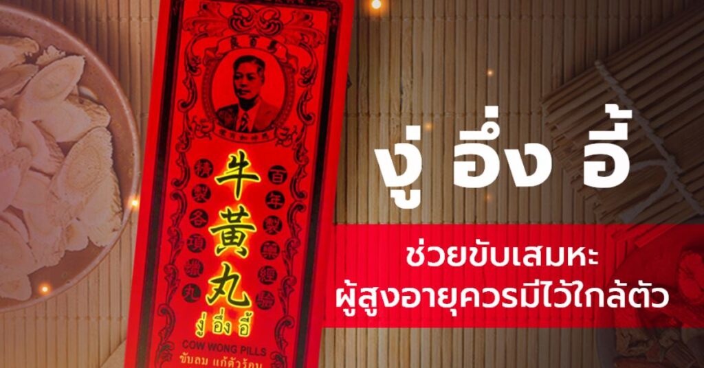 งู่ อึ่ง อี้ ช่วยขับเสมหะ ผู้สูงอายุควรมีไว้ใกล้ตัว