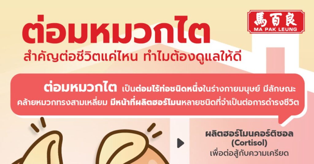 ต่อมหมวกไต สำคัญต่อชีวิตแค่ไหน ทำไมต้องดูแลให้ดี