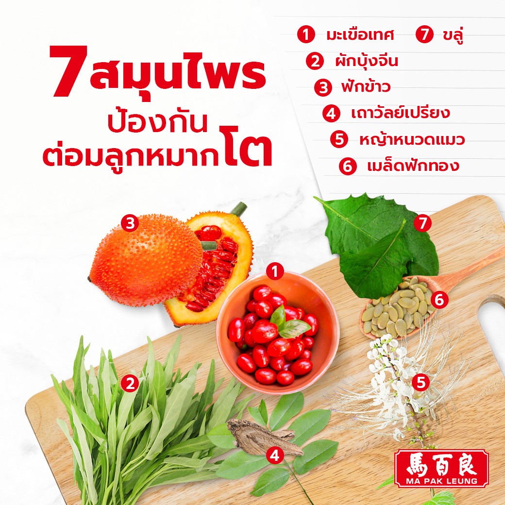 7 สมุนไพร ป้องกันต่อมลูกหมากโต :1.มะเขือเทศ 2.ผักบุ้งจีน 3. ฟักข้าว 4.เถาวัลย์เปรียง 5.หญ้าหนวดแมว
6.เมล็ดฟักทอง