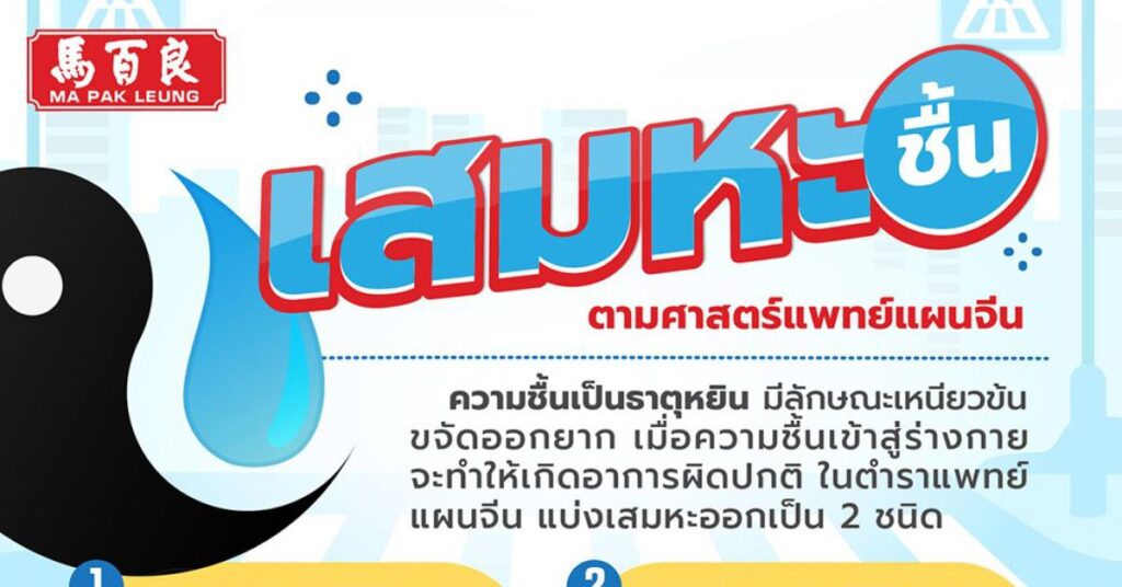 MPL M29 post 11 1200x628