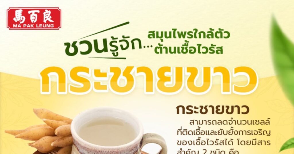 MPL M35 Post 07 web 1200x628