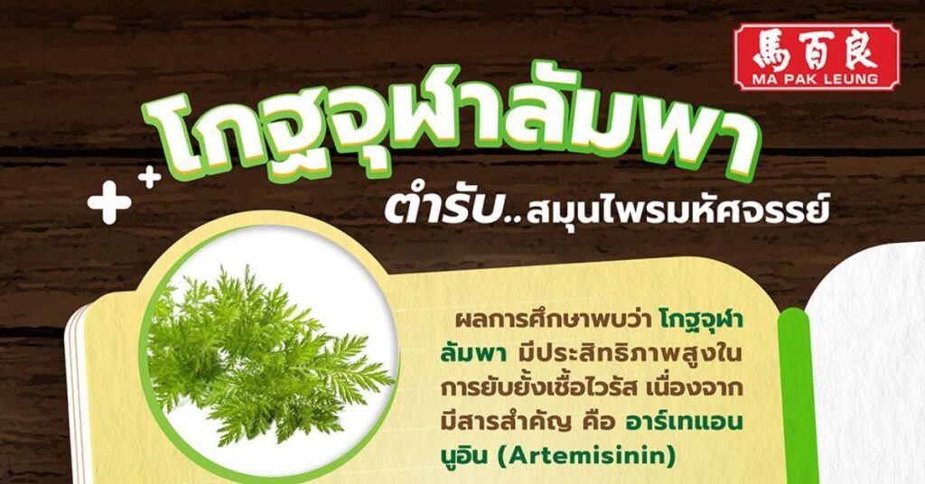 MPL M36 post 07 web 1200x628