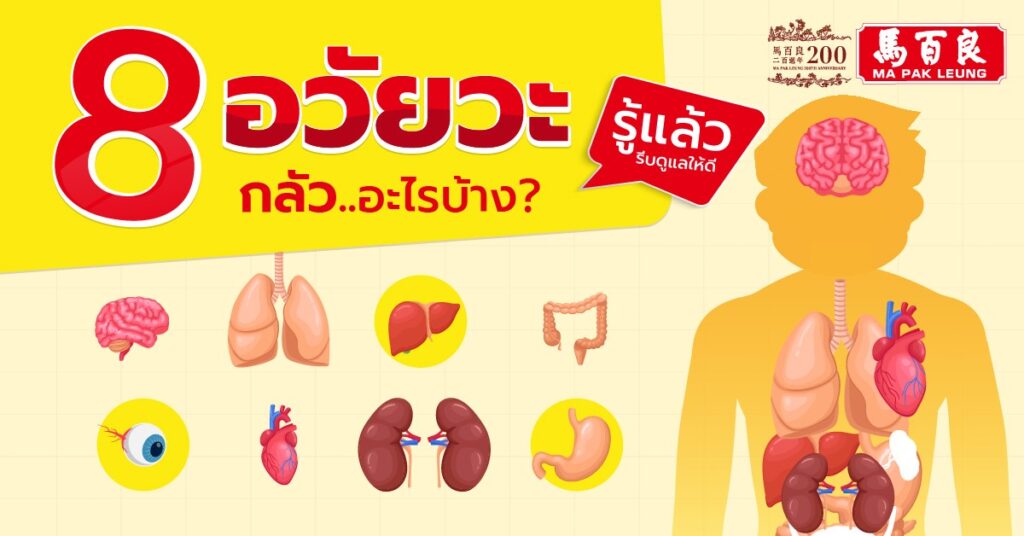 8 อวัยวะ กลัวอะไรบ้าง รู้แล้วรีบดูแลให้ดี