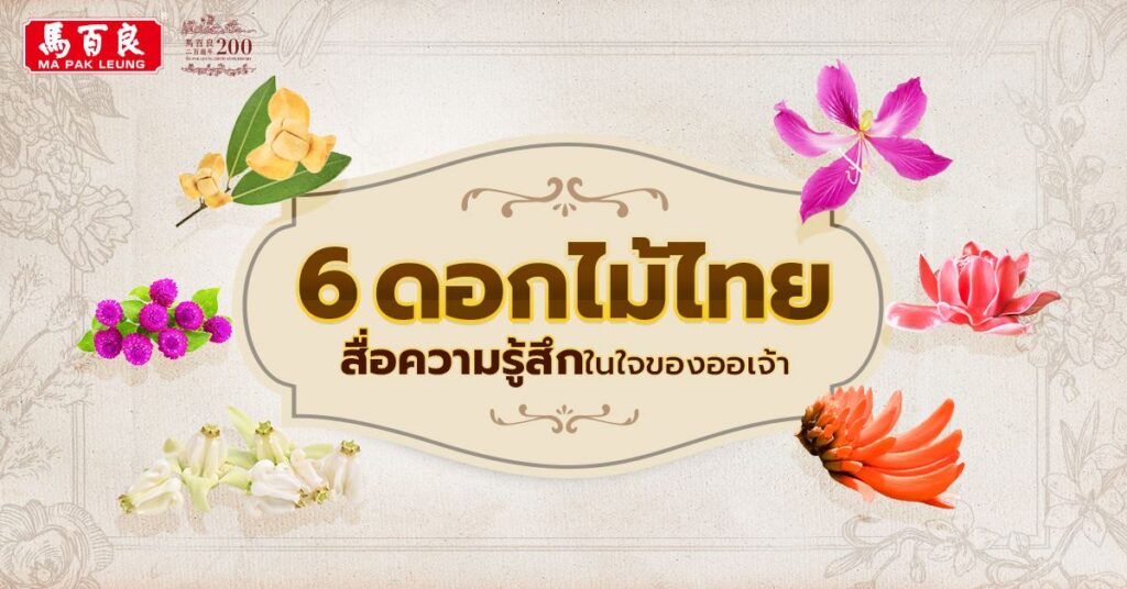 6 ดอกไม้ไทย สื่อความรู้สึกในใจ