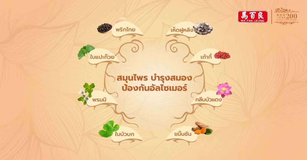 8 สมุนไพรบำรุงสมอง ป้องกันอัลไซเมอร์