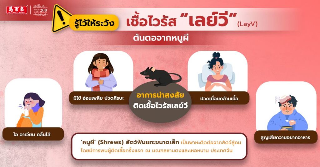 รู้ไว้ให้ระวัง เชื้อไวรัส เลย์วี (LayV) ต้นตอจากหนูผี